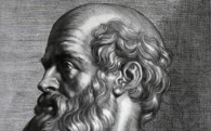 Hippocrates rubens